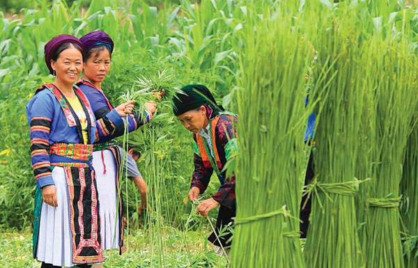 Sự ra đời của vải thun